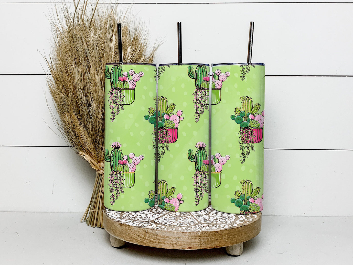Cactus Succulent Plants, Plant Lovers, Cactus Plant 20oz Tumbler Wrap, Seamless Skinny Tumbler, Sublimation Design PNG - 77