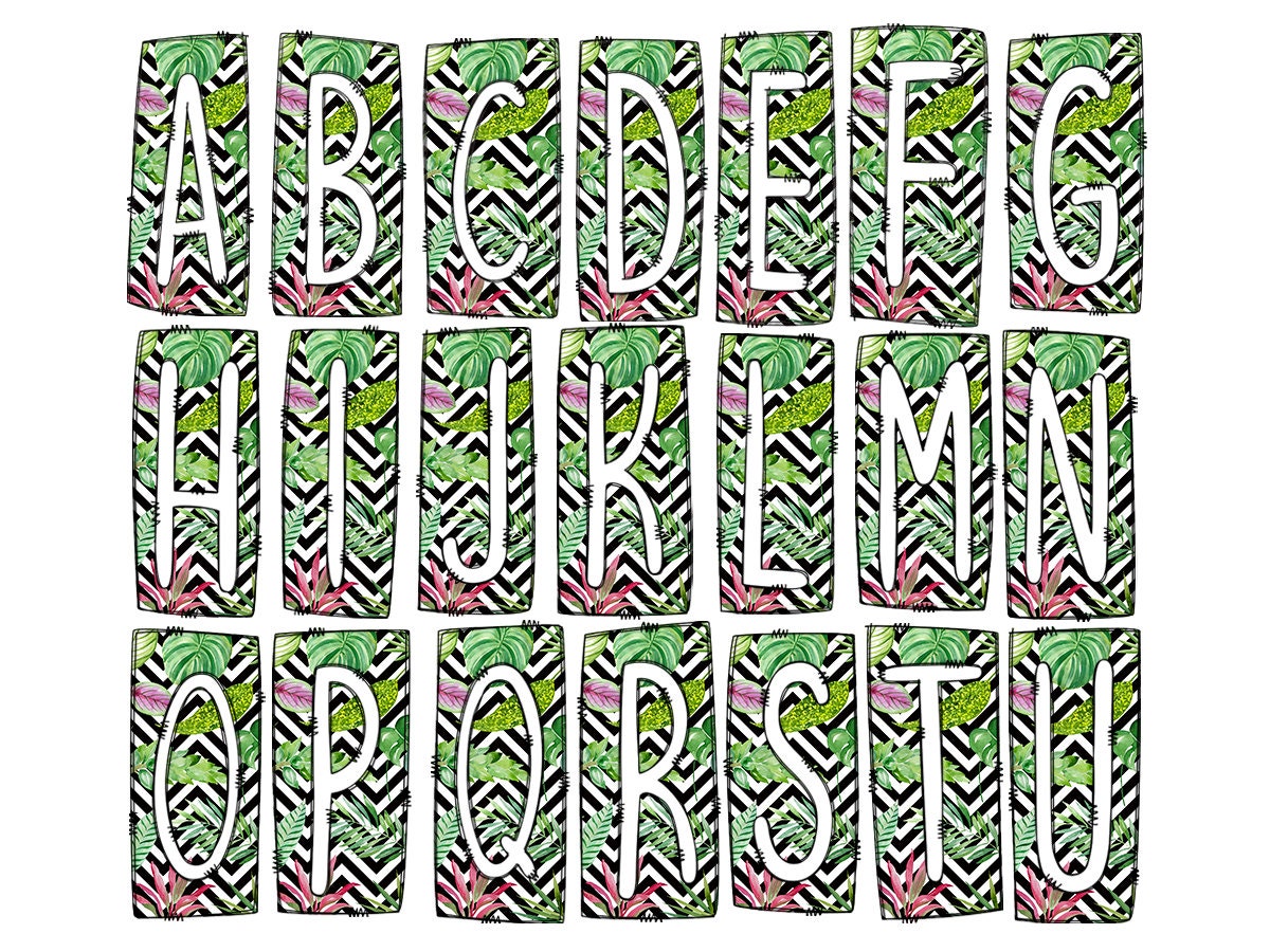 Chevron Monsterra Succulent Box Doodle Letters, Western Hand Drawn Doodle Alphabet Set, Sublimation Designs PNG - 2178