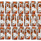 Pumpkins Leopard Fall Box Doodle Letters, Western Hand Drawn Doodle Alphabet Set, Sublimation Designs PNG - 83 PATTERN