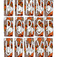Pumpkins Leopard Fall Box Doodle Letters, Western Hand Drawn Doodle Alphabet Set, Sublimation Designs PNG - 83 PATTERN