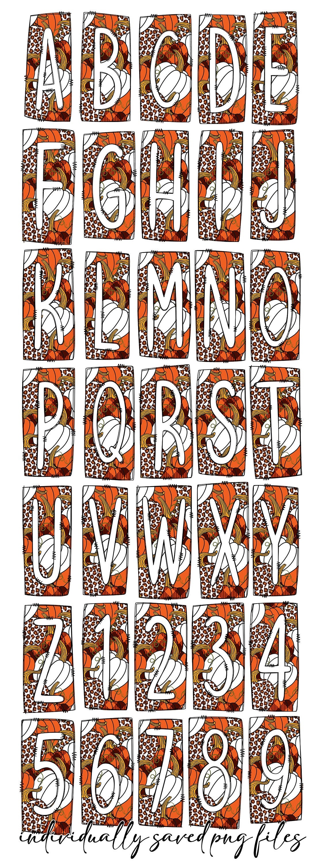 Pumpkins Leopard Fall Box Doodle Letters, Western Hand Drawn Doodle Alphabet Set, Sublimation Designs PNG - 83 PATTERN