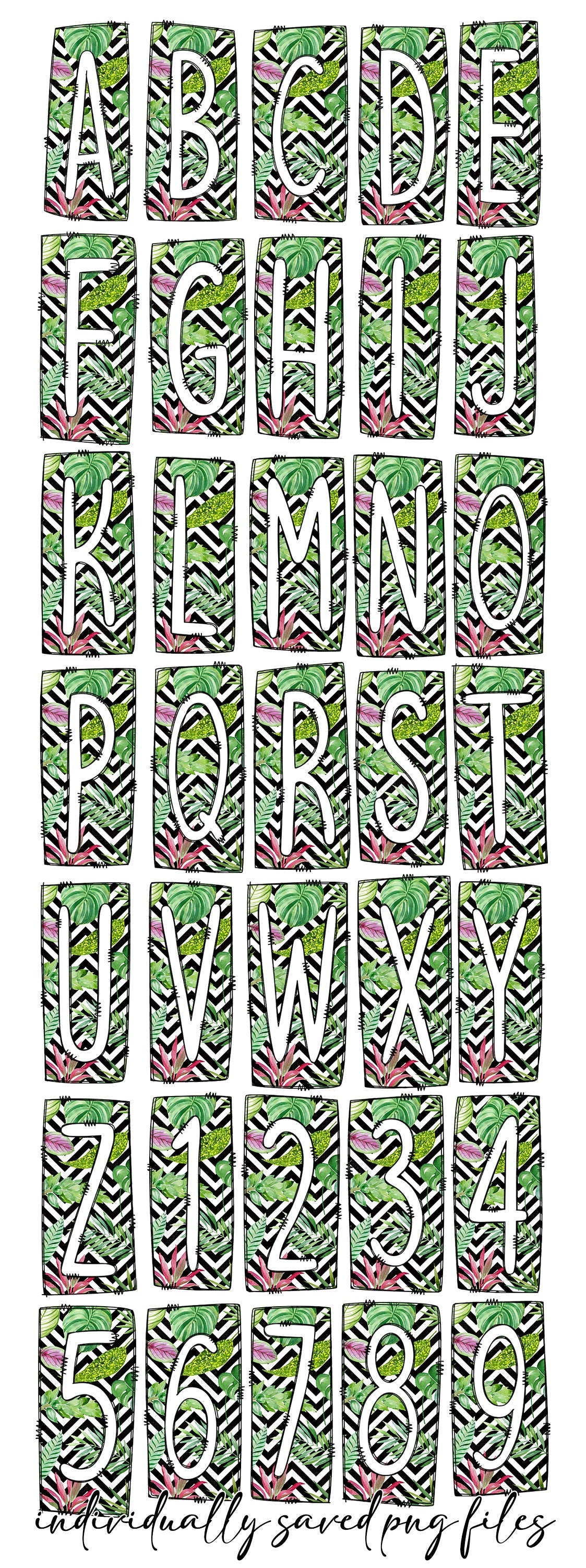 Chevron Monsterra Succulent Box Doodle Letters, Western Hand Drawn Doodle Alphabet Set, Sublimation Designs PNG - 2178