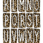 Leopard Print Cheetah Box Doodle Letters, Western Hand Drawn Doodle Alphabet Set, Sublimation Designs PNG - 13 PATTERN