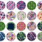200+ Floral Car Coaster Bundle, Watercolor Flowers Design, Air Freshener, Keyring Round Sublimation Designs, Car Coaster Template PNG